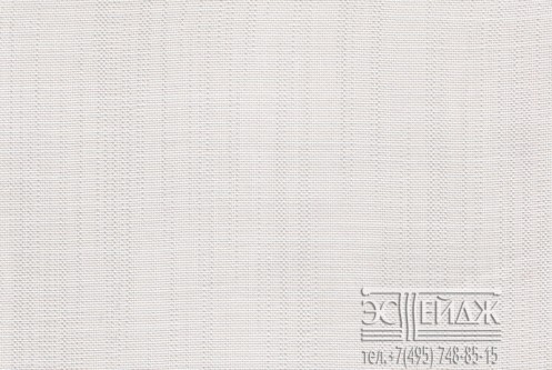Luisa 304