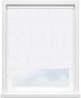 Рулонная штора MINI арт. СКРИН II 0225 (белый)