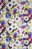 Портьерная ткань Cotonello Monet С (3 цвета)